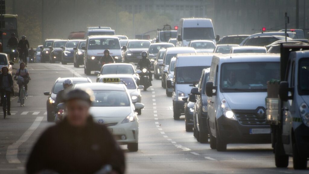 Fahrverbot Widerspruch Muster als PDF zum Download